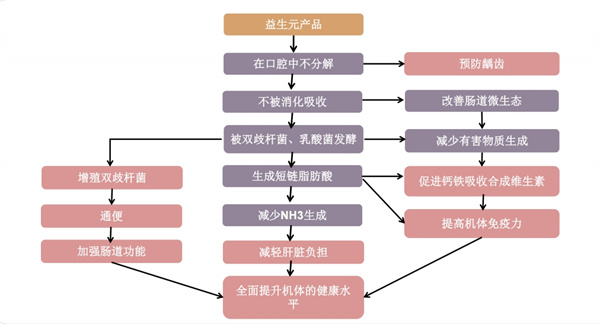 行业变革之际，尊龙凯时创园益生元崭露头角